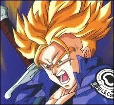 Ce Saiyen venu du futur est parvenu  battre Freezer et le roi Cold. Qui est-ce ?