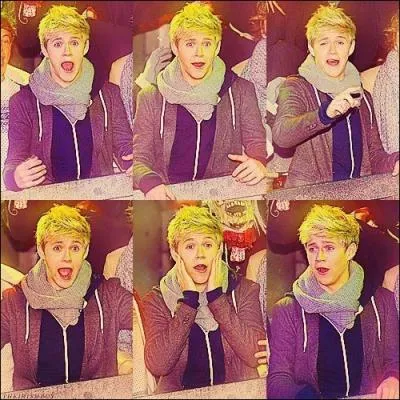 Dans sa famille, Niall est...