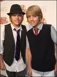 Combien a t-il eu de saisons dans  La vie de palace de Zack et Cody  o ont jou Cole et Dylan Sprouse ?