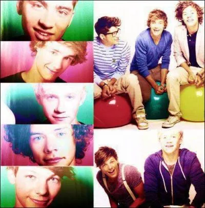 Dans  X-Factor , quelle chanson a-t-il chante avant d'tre limin ?