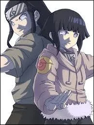 Hinata vient de la branche principale et Neji de la branche parallle