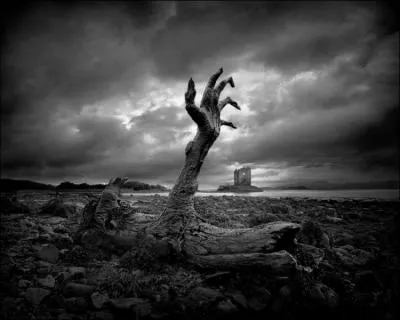 Avec infiniment de brumes  venir !