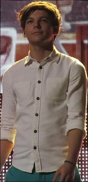 Combien Louis a-t-il de sur(s) ?