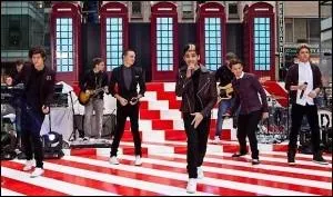 En quelle anne est n Zayn ?