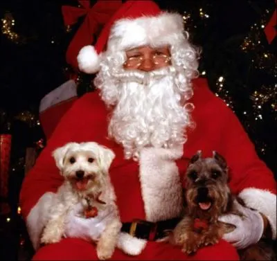 Il vient distribuer les cadeaux pour les enfants  Nol. Qui est-ce ?