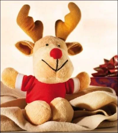 Il accompagne celui qui distribue les cadeaux. Comment s'appelle t-il ?