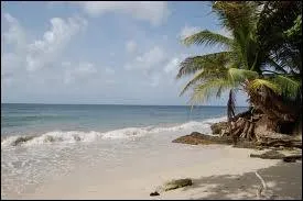 Enfin, quelle est la langue la plus parle en Amrique du Sud ?