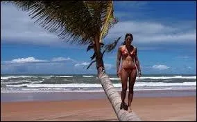 Antofagasta et Cordoba sont-elles des capitales ?