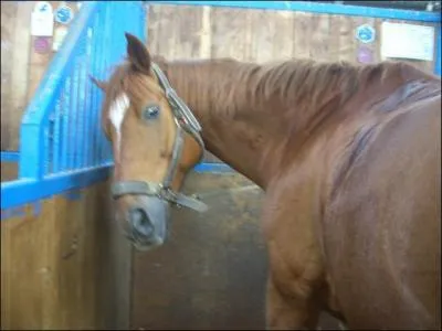 Quel est le nom de cet hbergement?