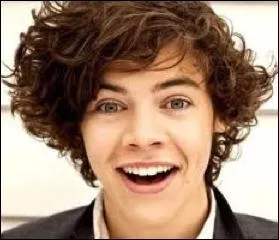 Quel est le nom entier d'Harry ?