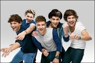 Qui a invent le nom de  One Direction  ?