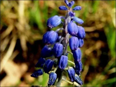 Quelle est celle-ci ?