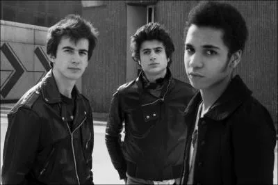 Quel est le nom de ce groupe de rock, dont les meilleures chansons sont 'Nico teen love' et 'Dis-moi' ?