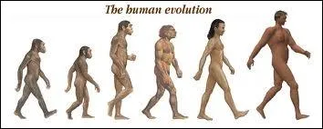 Des fouilles ralises ces dernires annes en Gorgie puis en Bulgarie, permettent de dire :