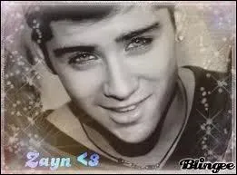 La couleur prffe de Zayn ?