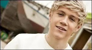 La couleur prfre de Niall ?