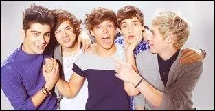 Dans quelle srie de Nickelodeon ont-ils jou ?