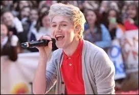 De quel instrument joue Niall ?