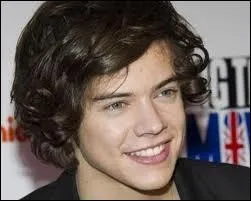 Quel est le jeu prfr de Harry ?