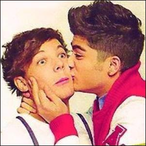 Qu'est-ce que Zayn aimerait avoir chez Louis ?