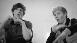 Quel est le prochain clip des 1D ? (One Direction)