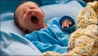 Un personnage un peu endormi qui nous chante : Non je n'ai pas oubli tous ces talons carrs - Ces filles au beau fessier ...