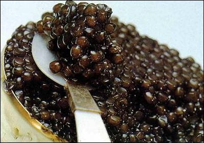 Voici du caviar, un produit de luxe. Mais, ce sont des oeufs d'animaux marins. De quel animal marin provient ce caviar ?