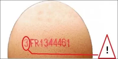 Revenons � nos oeufs de poule. De nos jours, comment reconnait-on l'oeuf d'une poule �lev�e en plein air ? (Attention la r�ponse n'est pas forc�ment sur l'image)