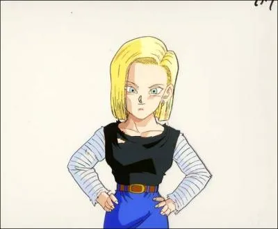 Un cyborg tyrannique (mais super canon) dont tombera amoureux Krillin. Qui est-elle ?