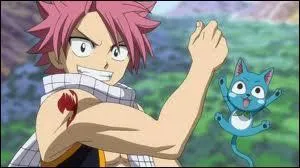 Que cherchent Natsu et Happy au dbut du manga ?