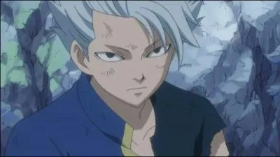 Quel ennemi Natsu, Erza, Lucy, Grey et Happy vont-ils devoir affronter sur l'le de Galuna ?