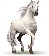 A quoi sert ce site ?