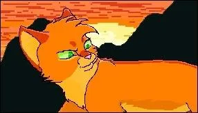 Dans quel tome devient-il chef ?