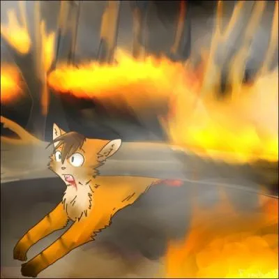 Dans quel tome Etoile de feu meurt-il ?