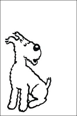 Qui est ce personnage de l'incroyable et passionnante uvre d'Herg qu'est  Tintin  ?