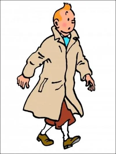 Qui est ce personnage de l'incroyable et passionnante uvre d'Herg qu'est  Tintin  ?