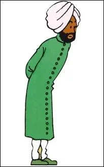 Qui est ce personnage de l'incroyable et passionnante uvre d'Herg qu'est  Tintin  ?