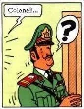 Qui est ce personnage de l'incroyable et passionnante uvre d'Herg qu'est  Tintin  ?