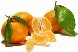 Quels sont ces fruits ?