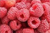 Quiz Fruits
