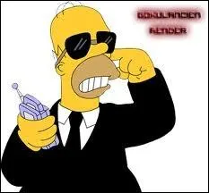 Quel est le deuxime prnom d'Homer ?