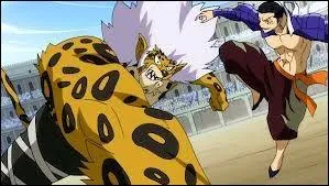 Qui Elfman affronte-t-il pendant les grand jeux magiques ?