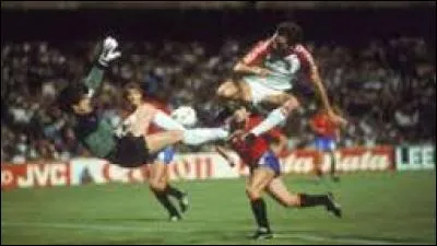 Quelle équipe scandinave fit face aux Espagnols en demi-finale et s'inclina aux tirs aux buts ?