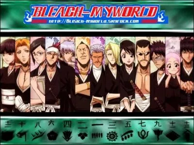 Combien de vice-capitaines matrisent le bankai ?