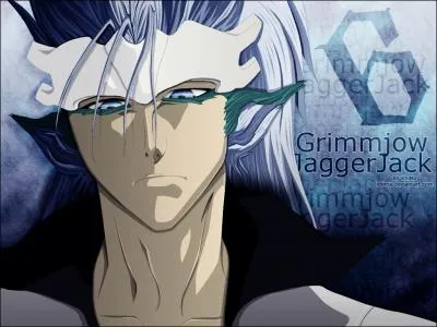 Quel aspect de la mort reprsente Grimmjow ?