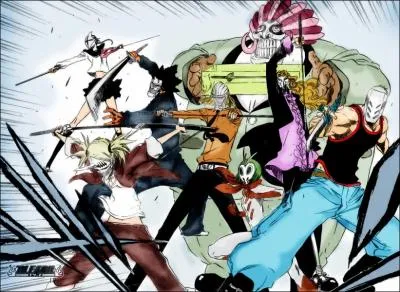 Lors de la bataille contre Aizen et les arrancars, qui laisse rentrer les Vizards ?