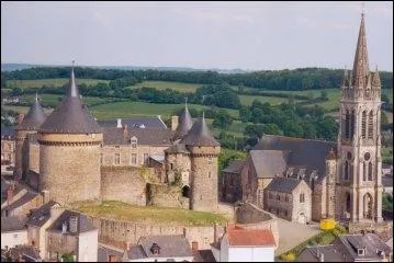 Sill-le-Guillaume o est n Lon Besnardeau l'inventeur de la carte postale en 1829 se trouve dans le dpartement de :