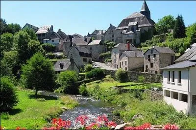 La ville de Treignac o vous allez passer vos vacances 2013 dans un cadre agrable est situe dans le dpartement :