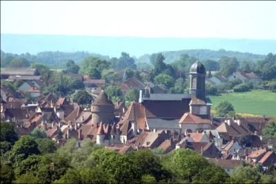 Dans quel dpartement se trouve la ville d'Arnay-le-Duc ?