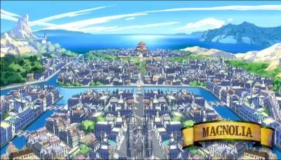 Comment se nomme la ville o� se situe Fairy Tail ?